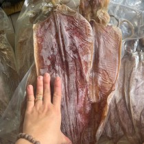 Mực Khô Loại 1 – Cách Chọn Mực Khô Ngon, Giá Mới Nhất Và 10 Món Ăn Hấp Dẫn