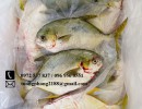 https://rangmuc.com/image/cache/catalog/ca-chim/ca-chim-bien-tu-nhien-850x850.jpg