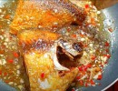 Cá Chim Chiên Nước Mắm Giòn Rụm – Cách Làm Đơn Giản, Thơm Ngon Chuẩn Nhà Hàng