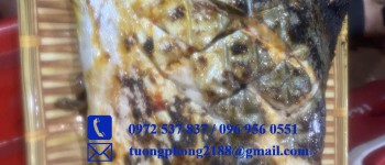 Cá Chim Nướng Muối Ớt – Cách Làm Ngon Chuẩn Vị, Thơm Mềm Hấp Dẫn