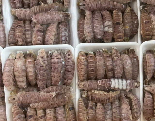 Món ngon với thịt tôm tít