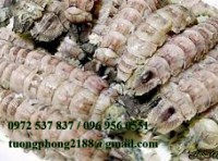 CAMERAThịt Tôm Tít Hấp Bia – Cách Làm Thơm Ngon, Giữ Trọn Vị Ngọt Tự Nhiên