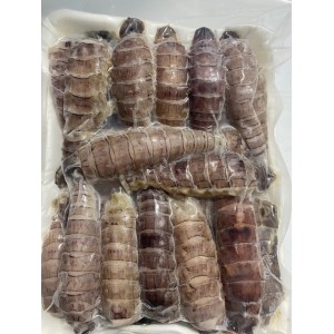Thịt tôm tít (bề bề)