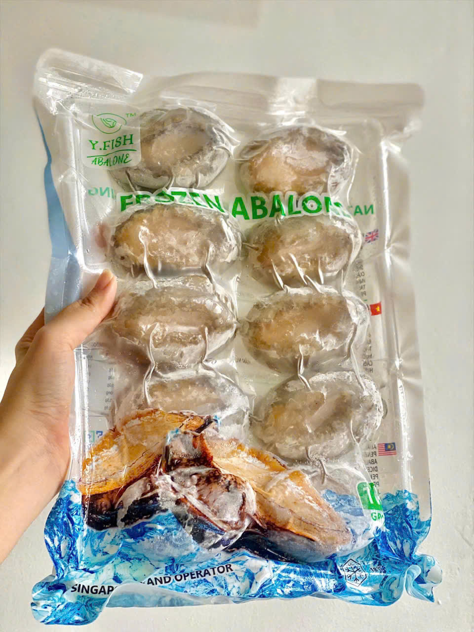 Bào ngư tươi Bào ngư tươi