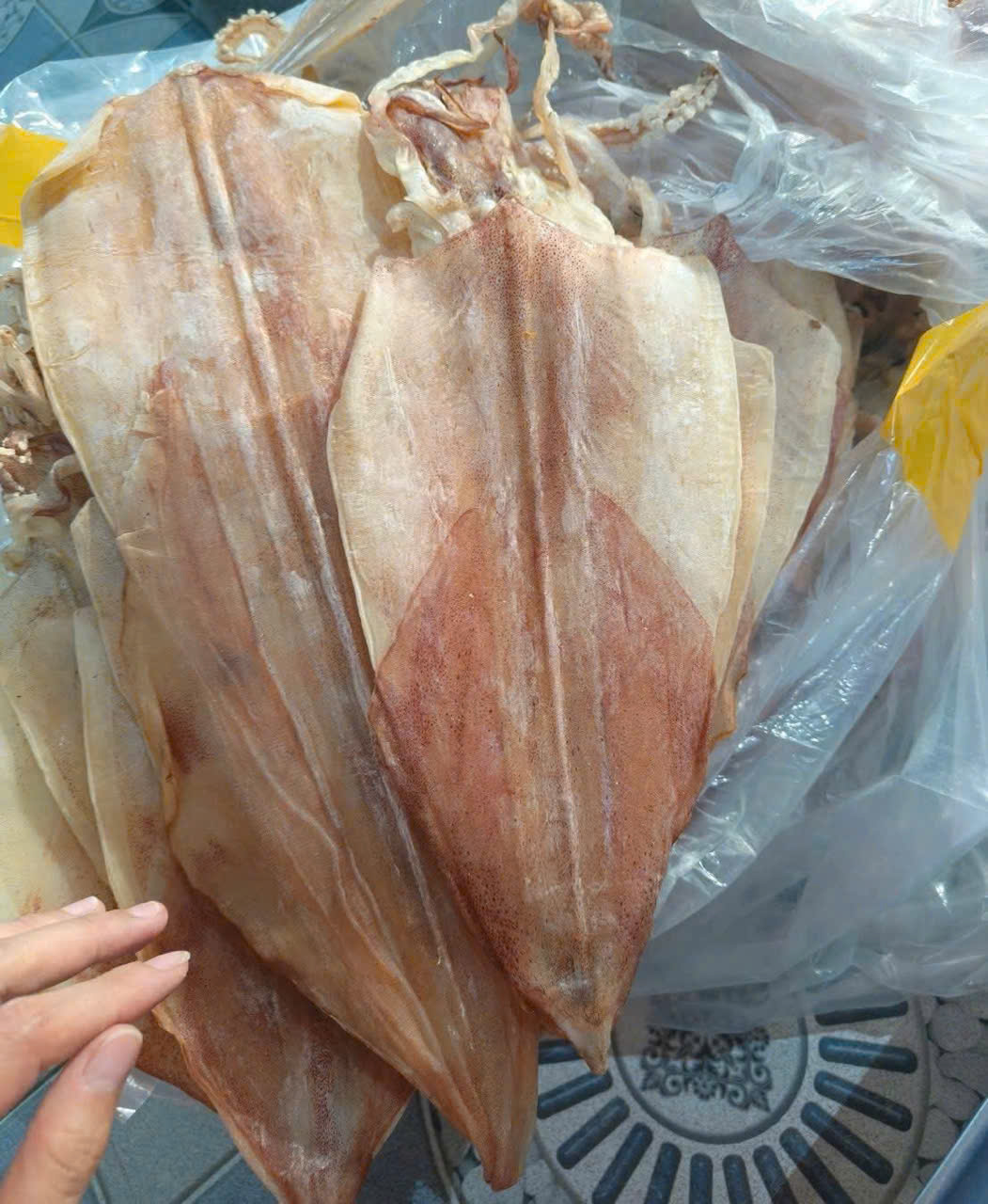 mực khô câu mực khô câu