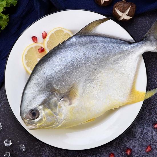 Cá chim trắng tươi nguyên con chuẩn bị chế biến món cá chim chiên nước mắm