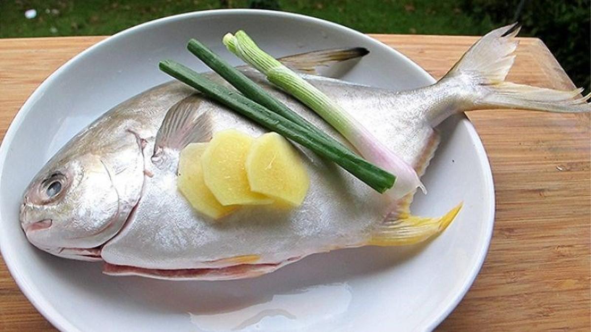 cá chim tươi và nguyên liệu
