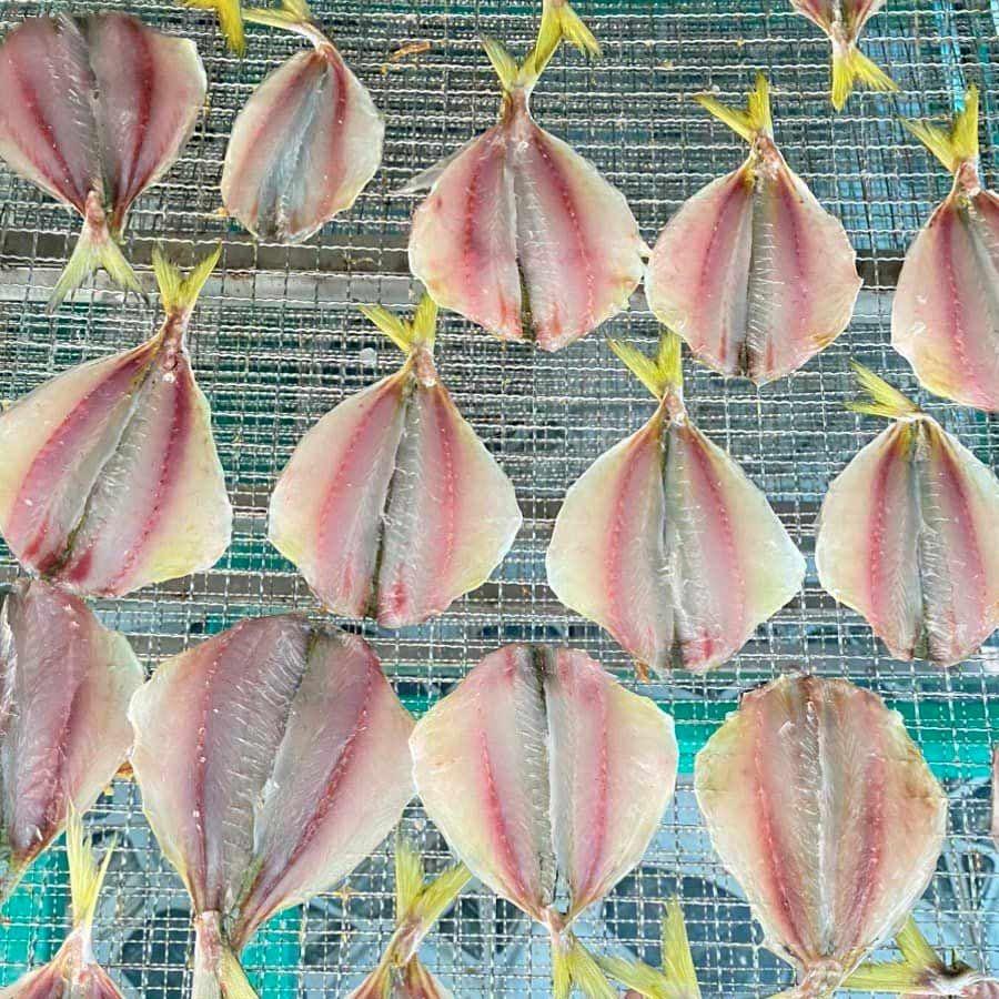 Cá chỉ vàng sau sơ chế